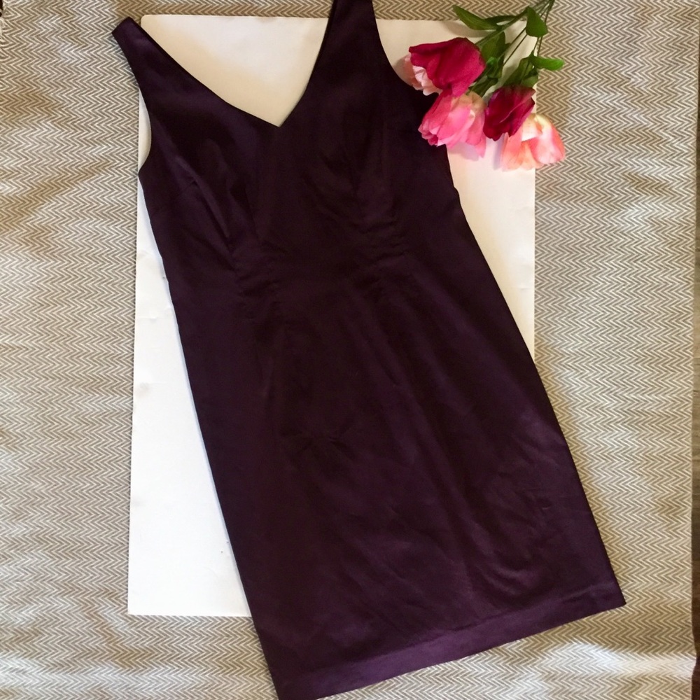 Ann Taylor Simple Plum Dress